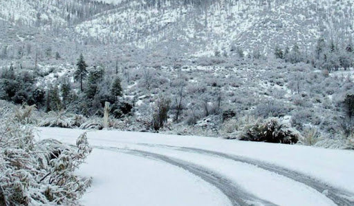 Өнөөдөр, маргааш нутгийн хойд хэсгээр цас орно